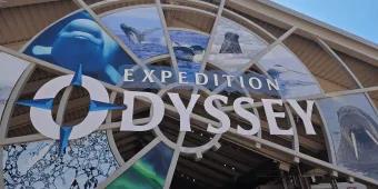 Expedition Odyssey Circular sign which says "Expedition Odyssey" with images of different animals in the background including a beluga whale, humpback whale and more!