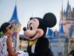 Mickey Mouse Degree Mickey Mouse Degree