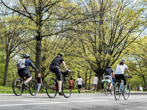 Central Park Bike Tour | AttractionTickets.com