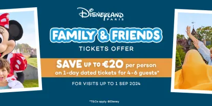 Disneyland Paris 1 Day Special Offer Small Group Ticket