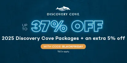 Discovery Cove Black Friday Sale - Save Up to 37%