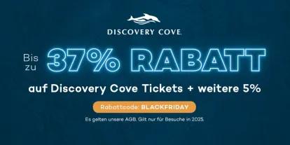 Bis zu 37% auf Discovery Cove Tickets sparen 