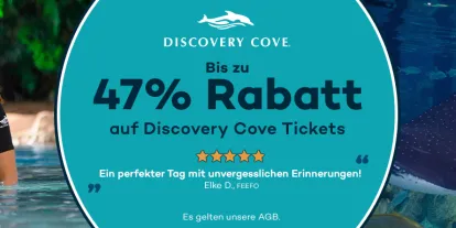 Sichern Sie sich bis zu 47% Rabatt auf Ihre Discovery Cove Tickets 