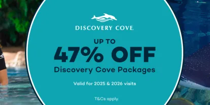 Up to 47% off Discovery Cove Tickets