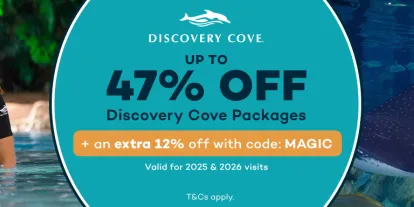 Discovery Cove New Year Sale - Save Up to 47%