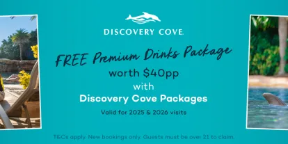 FREE PREMIUM DRINKS PACKAGE worth $40 per person when booking Discovery Cove Tickets.