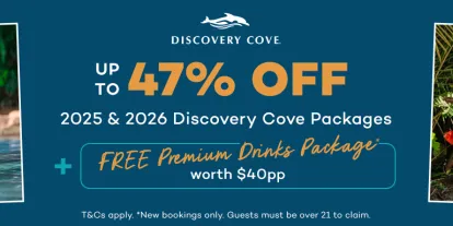 Save up to 47% on Discovery Cove Tickets during our New Year Sale