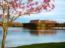 Disney's Polynesian Village Resort - Walt Disney World Resort Hotels