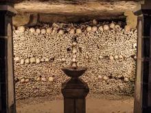 Room or bones