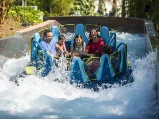 New surf coaster #seaworld #seaworldorlando #rides @SeaWorld Orlando #, roller  coaster