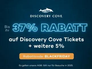 Jetzt bis zu 37% Rabatt auf Discovery Cove Tickets sichern 