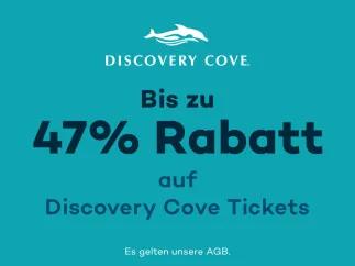 Sichern Sie sich bis zu 47% Rabatt auf Ihre Discovery Cove Tickets 