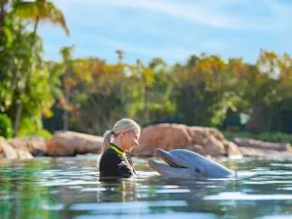 Woman with dolphin at Discovery Cove Orlando