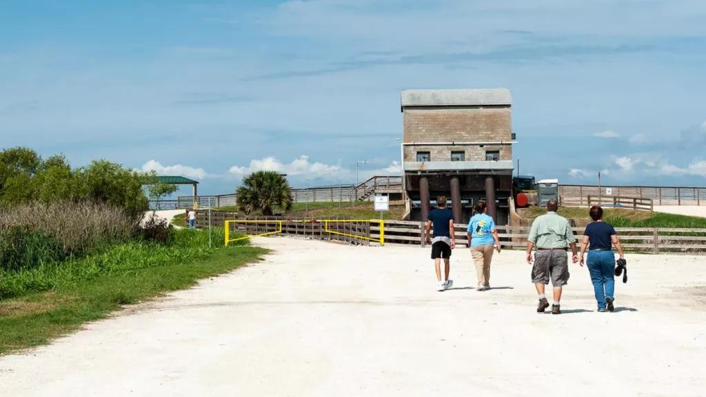 Want To See Gators Head For Lake Apopka Wildlife Drive