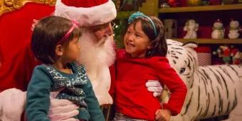 Bald ist es soweit! Christmas Town öffnet in Busch Gardens 