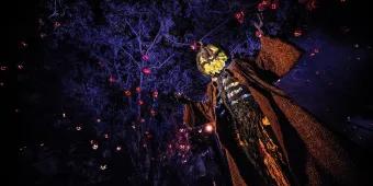 A scarecrow with a pumpkin head in front of dark trees