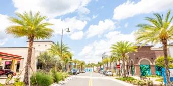 A road lined with palm trees in front of shops and restaurants