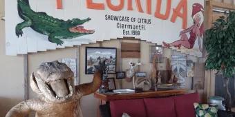 huge welcome to florida sign on the wall with image of a gator on and below there is a statue of an alligator stood up smiling and waving. Next to the statue there is an old sofa with old images above.