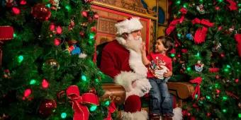 Santa Claus sat on wooden throne with a child sat on his lap touching his white beard. There are many christmas trees on either side decorated in pretty green and red decorations including baubles and bows.