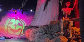 SEA LIFE Room decorated with prop skeleton on rocks, the sea below and a pumpkin projection.