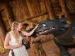 Toothless and Hiccup with guest - Isle of Berk Black dragon with more open meeting a guest who has her hand on Toothless' snout. Hiccup is behind consoling the dragon in his viking attire.
