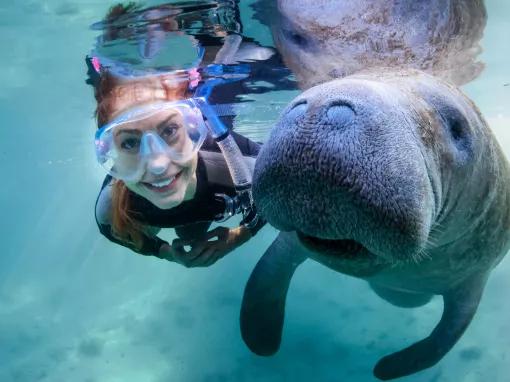 The Real Florida Adventure & Swim With Manatees | AttractionTickets.com