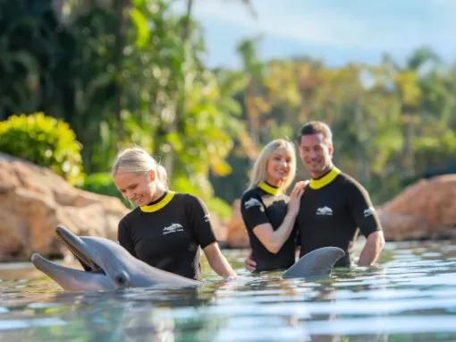 Family interacting with Dolphin at Discovery Cove Orlando