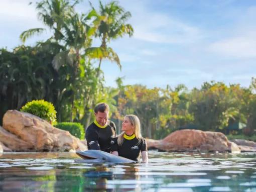 Couple interacting with Dolphin at Discovery Cove Orlando