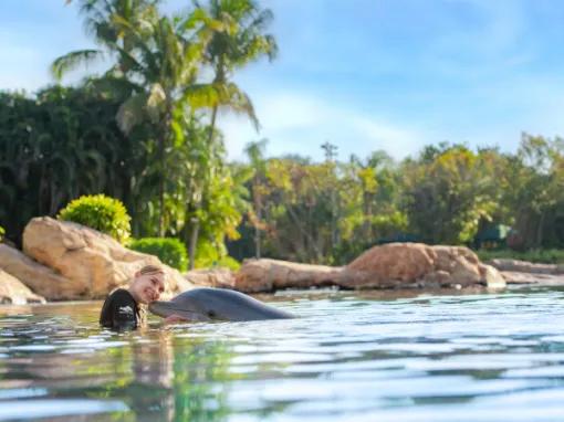 Girl interacting with Dolphin at Discovery Cove Orlando