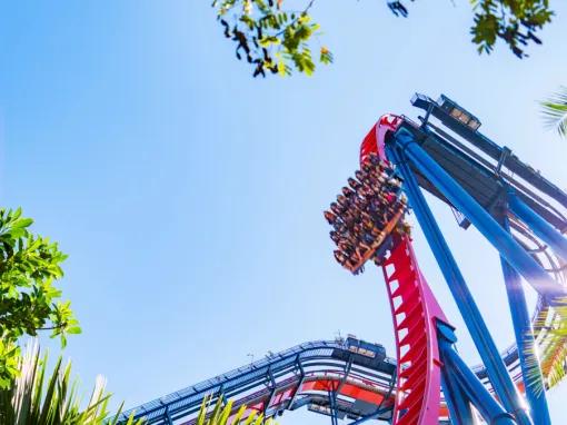 SheiKra rollercoaster at Busch Gardens Tampa