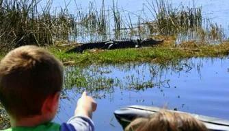 Wild Florida Private Airboat Ride -Gator Park Admission