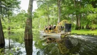 Airboat Swamp Tour from New Orleans | AttractionTickets.com