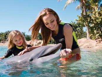 Top 10 Animal Encounters in Orlando 