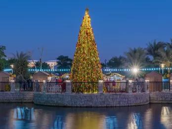 A giant lit up Christmas tree next to a river that is reflecting the light