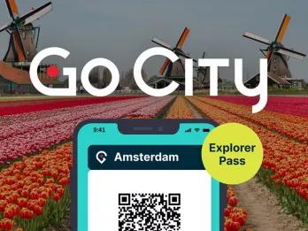 go-city-app-with-windmill-background