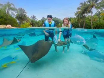 Guests with friendly rays at Discovery Cove in Orlando