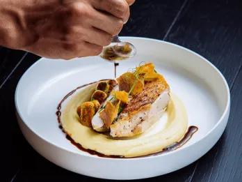 Chicken or fish dish on top of smooth mash potato with green plant on top and crackers. There is a mans hand pouting dark sauce around the dish on the clean white bowl.