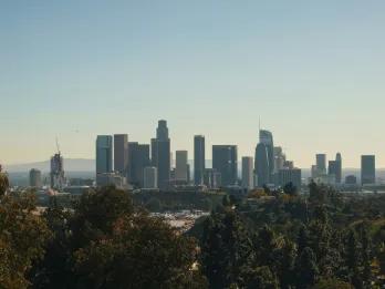 Downtown LA Group of skyscrapers in the background standing tall over the trees in front.