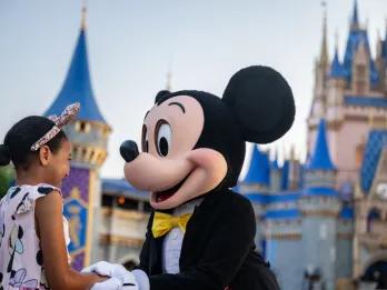 Mickey Mouse Degree Mickey Mouse Degree